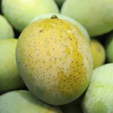 হিমসাগর আম